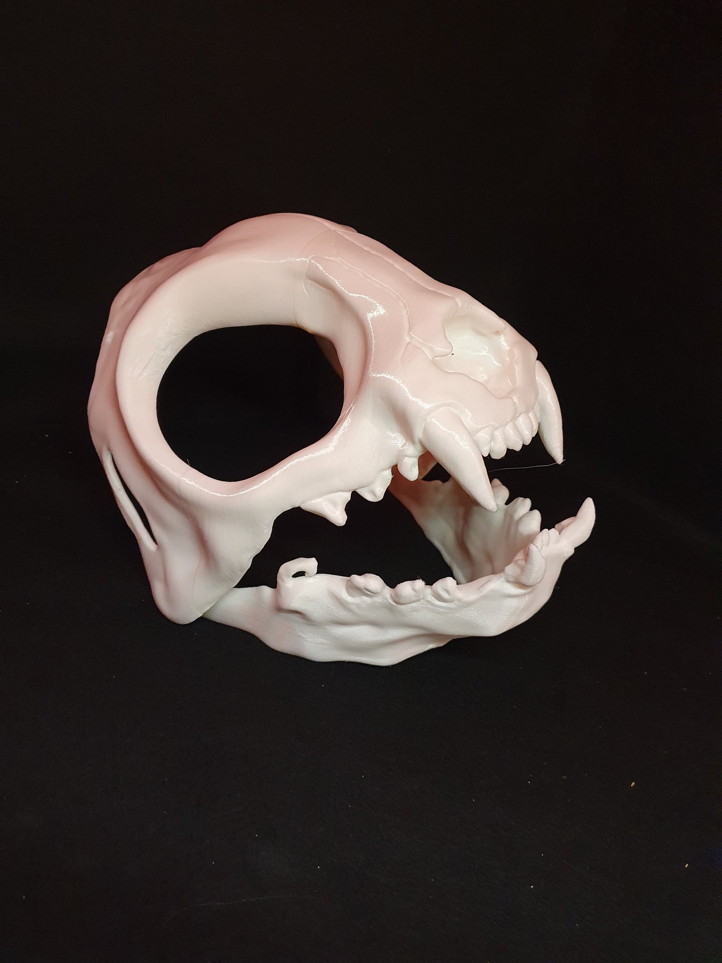 Catskull - Cat skull cosplay mask