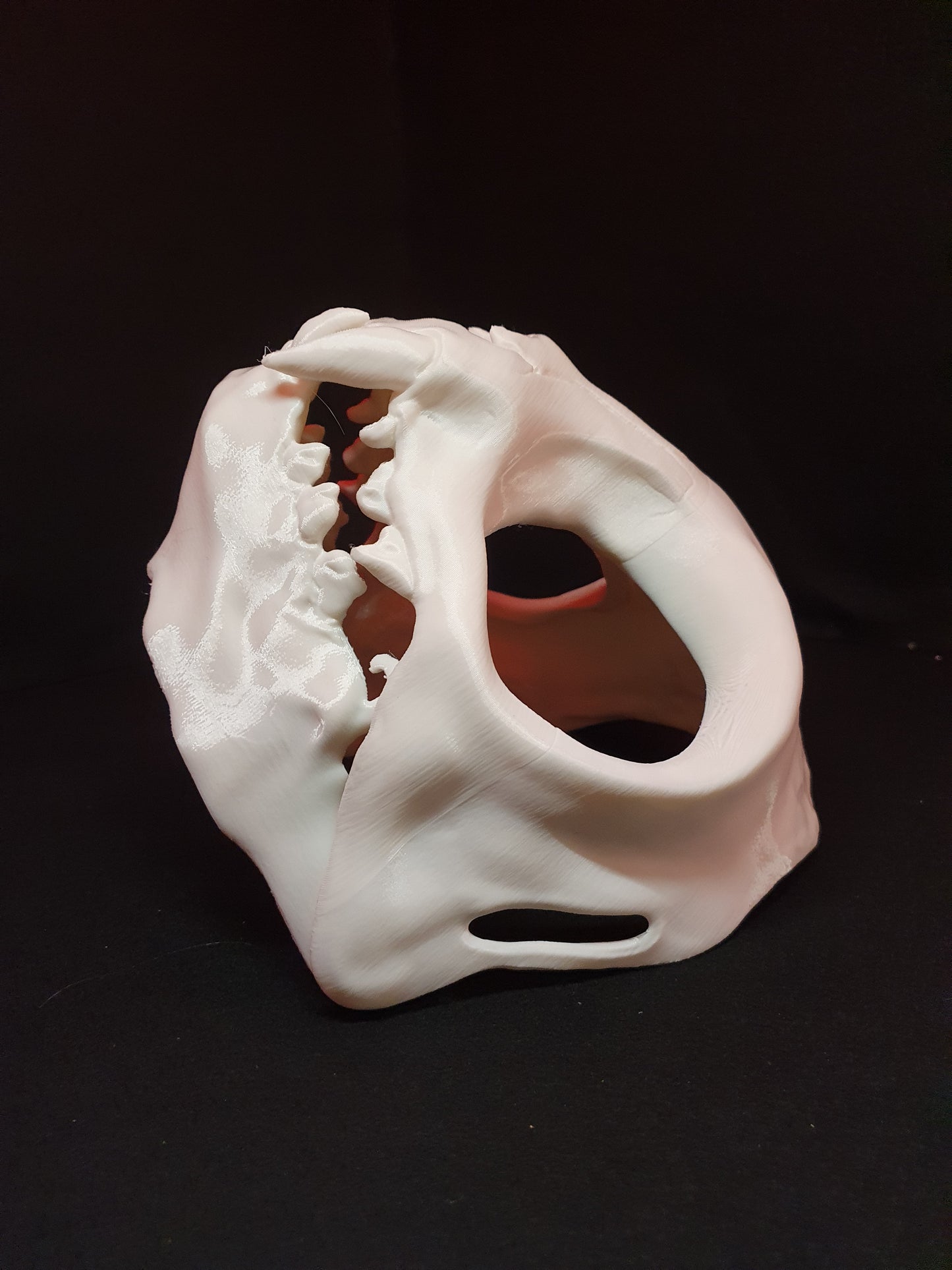 Catskull - Cat skull cosplay mask