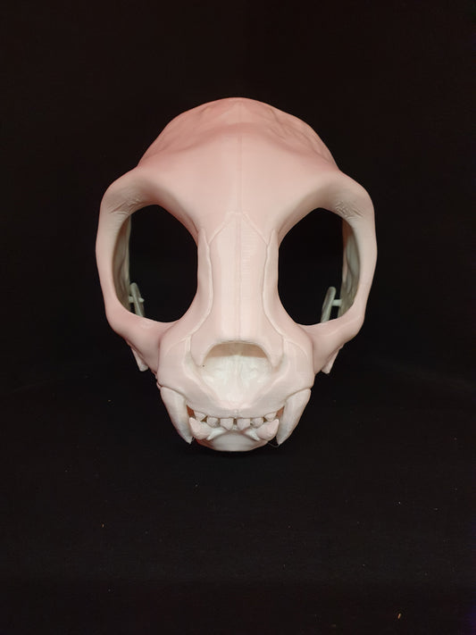 Catskull - Cat skull cosplay mask