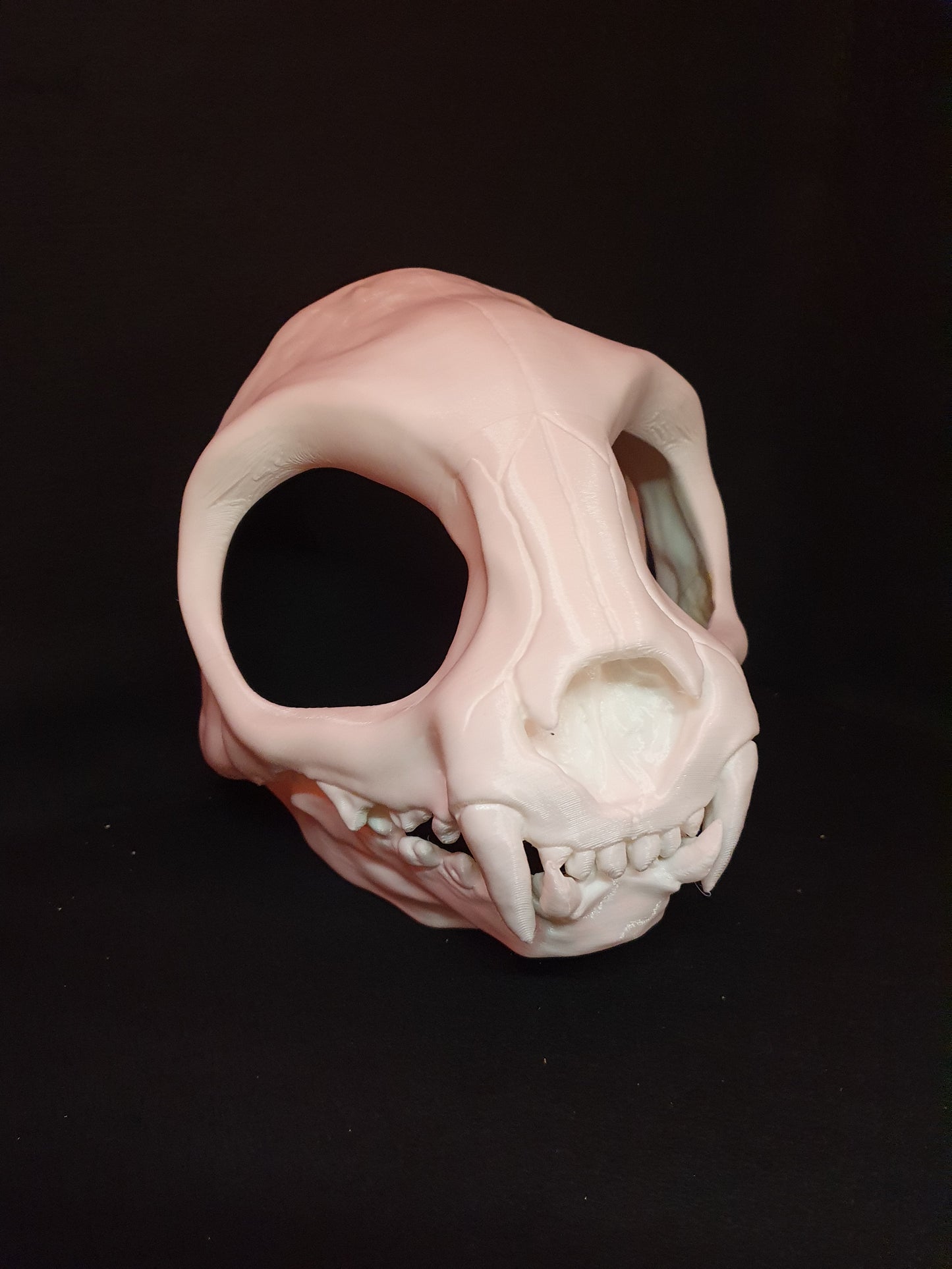 Catskull - Cat skull cosplay mask