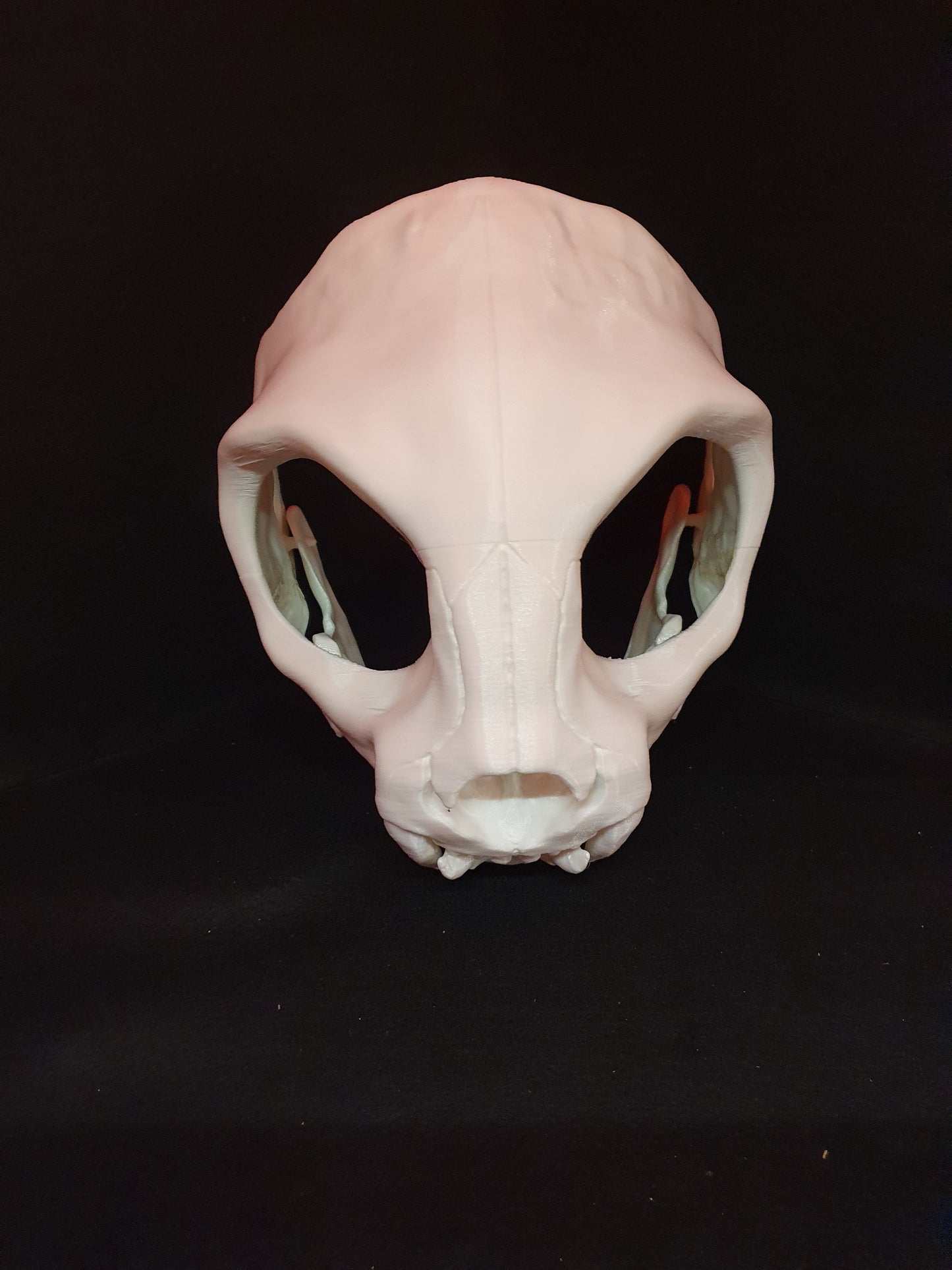 Catskull - Cat skull cosplay mask