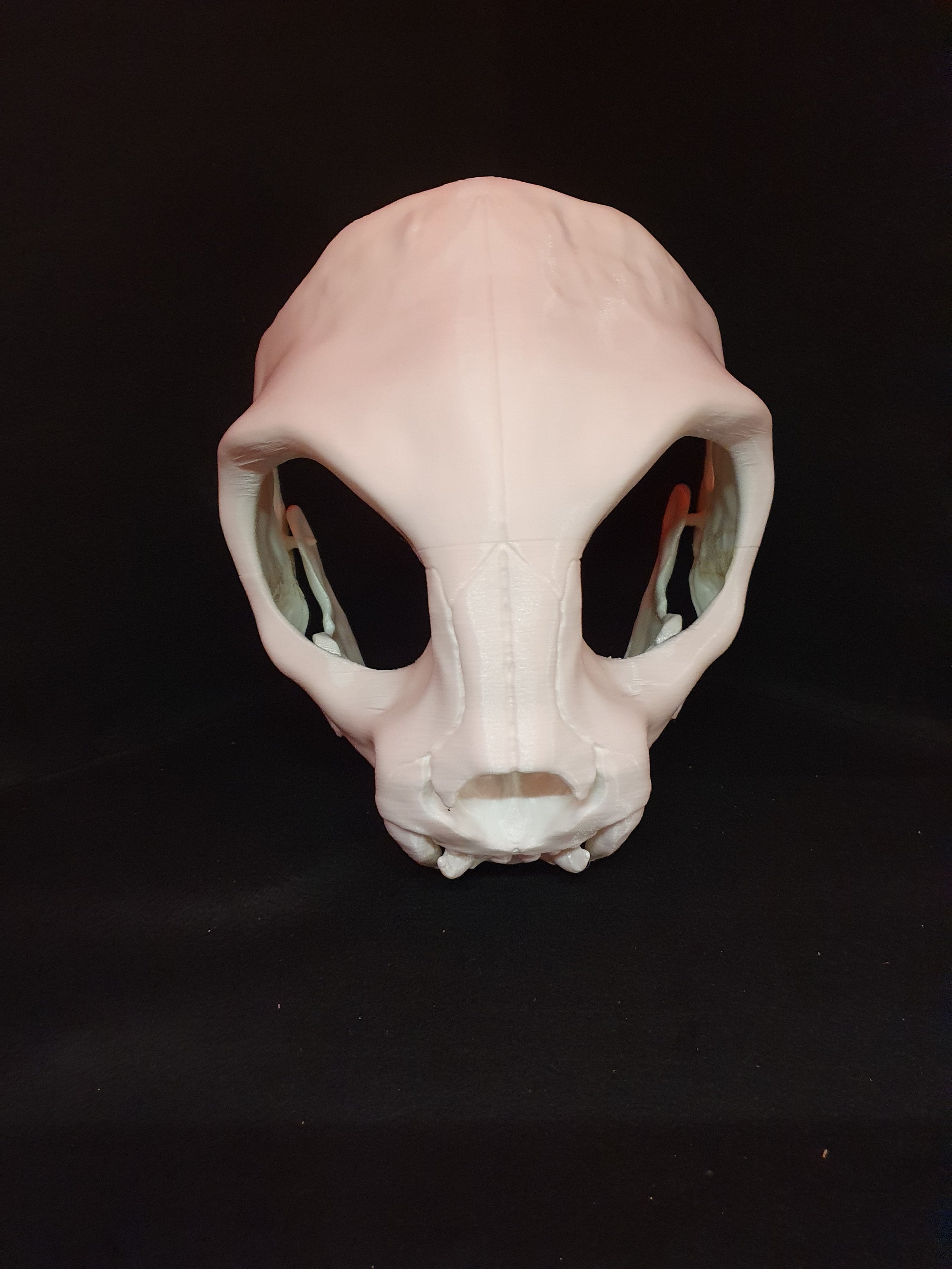 Cat skull cosplay mask - Articulate 3D-printed costume skull mask ...